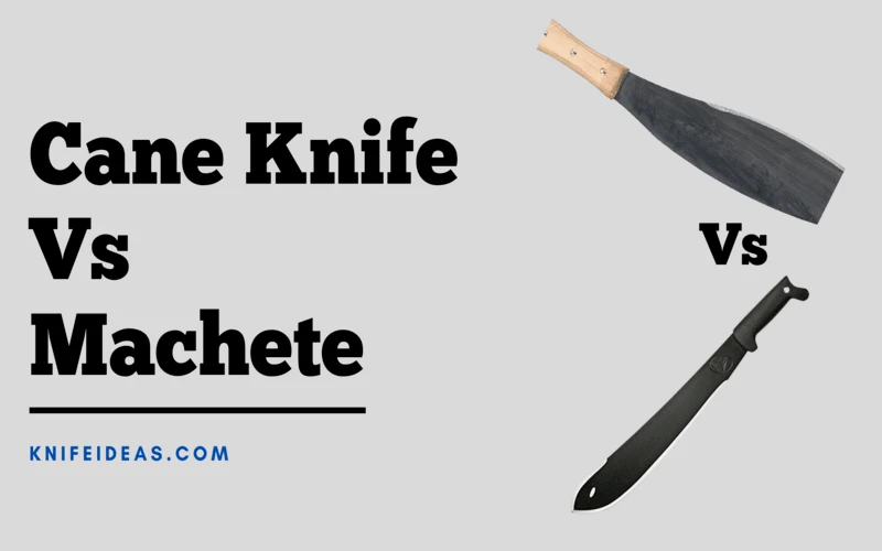 Cane Knife Vs Machete – Comparison 2023