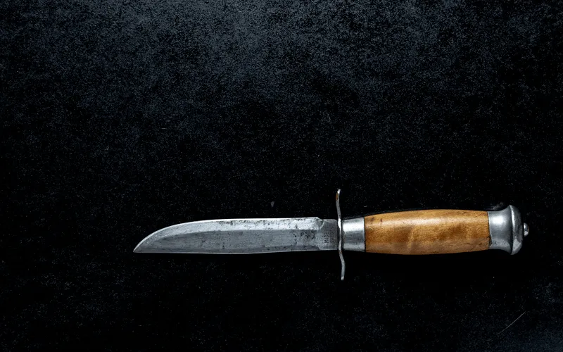 10 Best Mora Knife for Bushcraft, Backpacking 2023