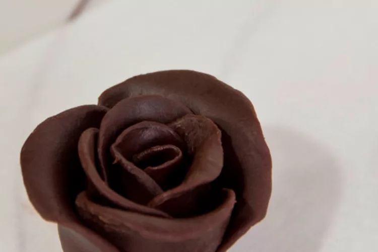 Dark Chocolate Roses