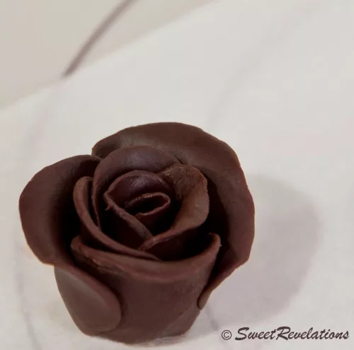 Dark Chocolate Roses