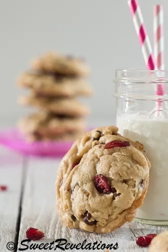 Perfected Chocolate Chip Cookies {Loaded With Walnuts and Cranberries}