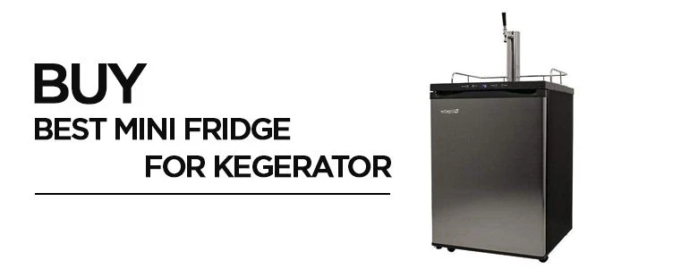 Top 12 Best mini fridge for kegerator:
