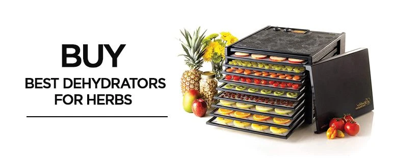 Top 15 Best Dehydrators for herbs 2023: