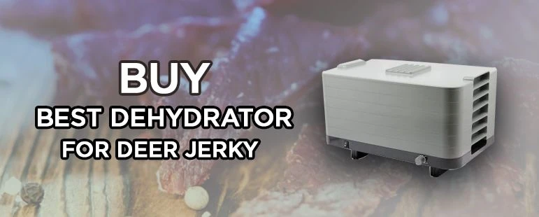 Conclusion for Dehydrator Buyers