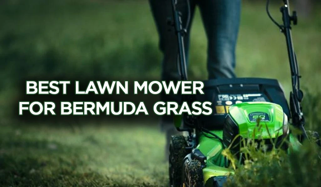 Top 8 BEST LAWNMOWERS FOR BERMUDA GRASS 2023: