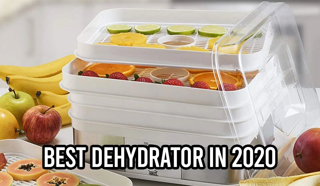 Top 9 Best Dehydrator 2021: