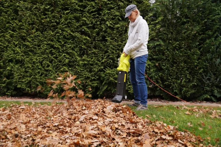 What exactly is a leaf collection system?