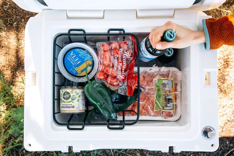 Best 5 Coolers For Camping