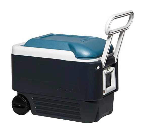 Igloo Maxcold Cooler