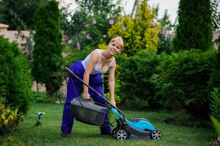 Conclusion for Lawn Mower Buyers
