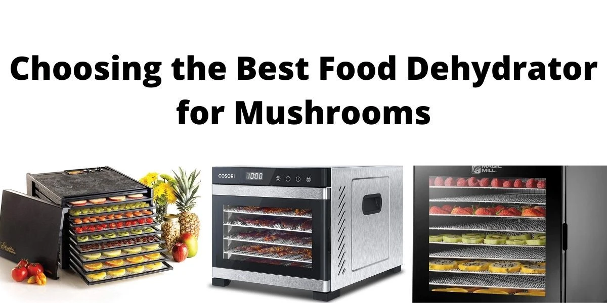 Top 10 Best Dehydrators for Mushrooms 2023: