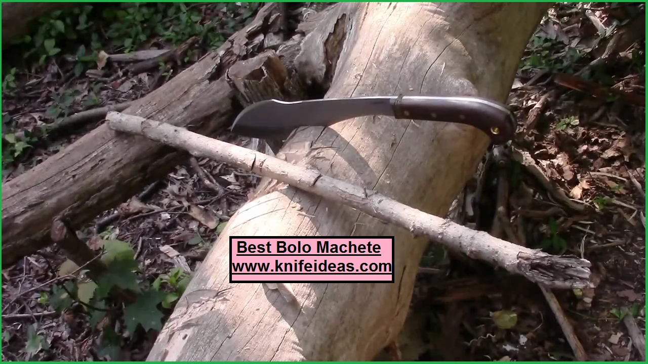 10 Best Bolo Machete of 2023 - Ultimate Harvesting Tools!