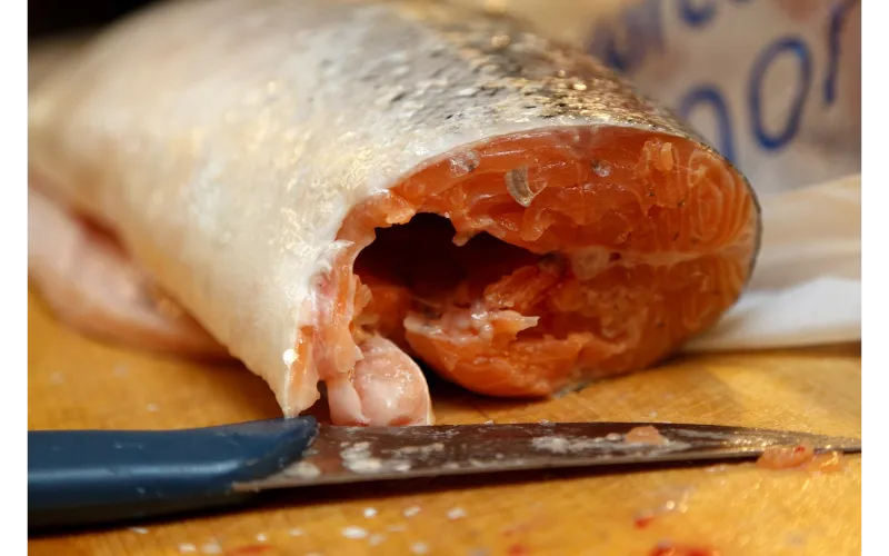 Best Fillet Knife for Salmon in 2022 [Top 10 Picks]