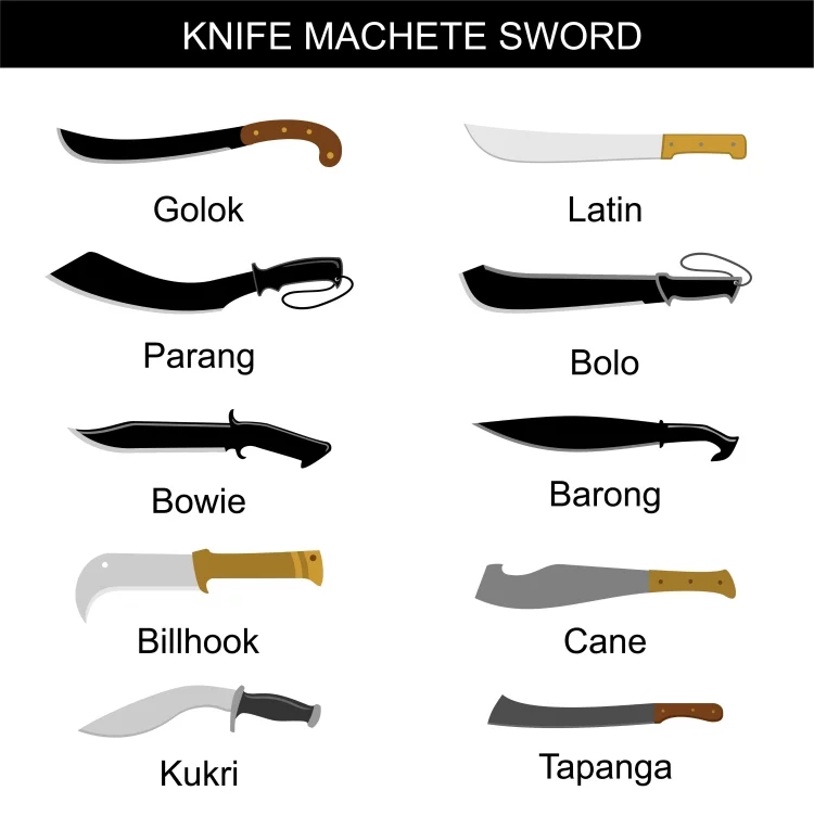 Infographics for Types of Machetes & Styles