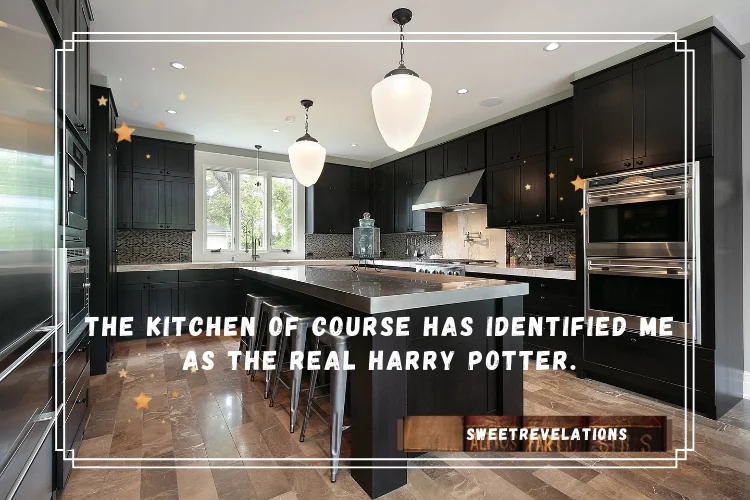 The kitchen of course has identified me as the real Harry Potter.