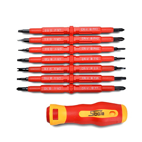 AGPtEK Insulated Electrical Screwdriver Phillips and Flat Double Head